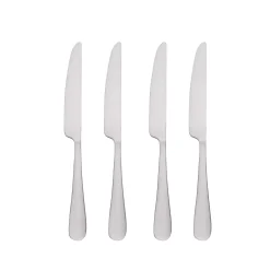 Food Network™ 4-pc. Classic Silver Dinner Knife Set